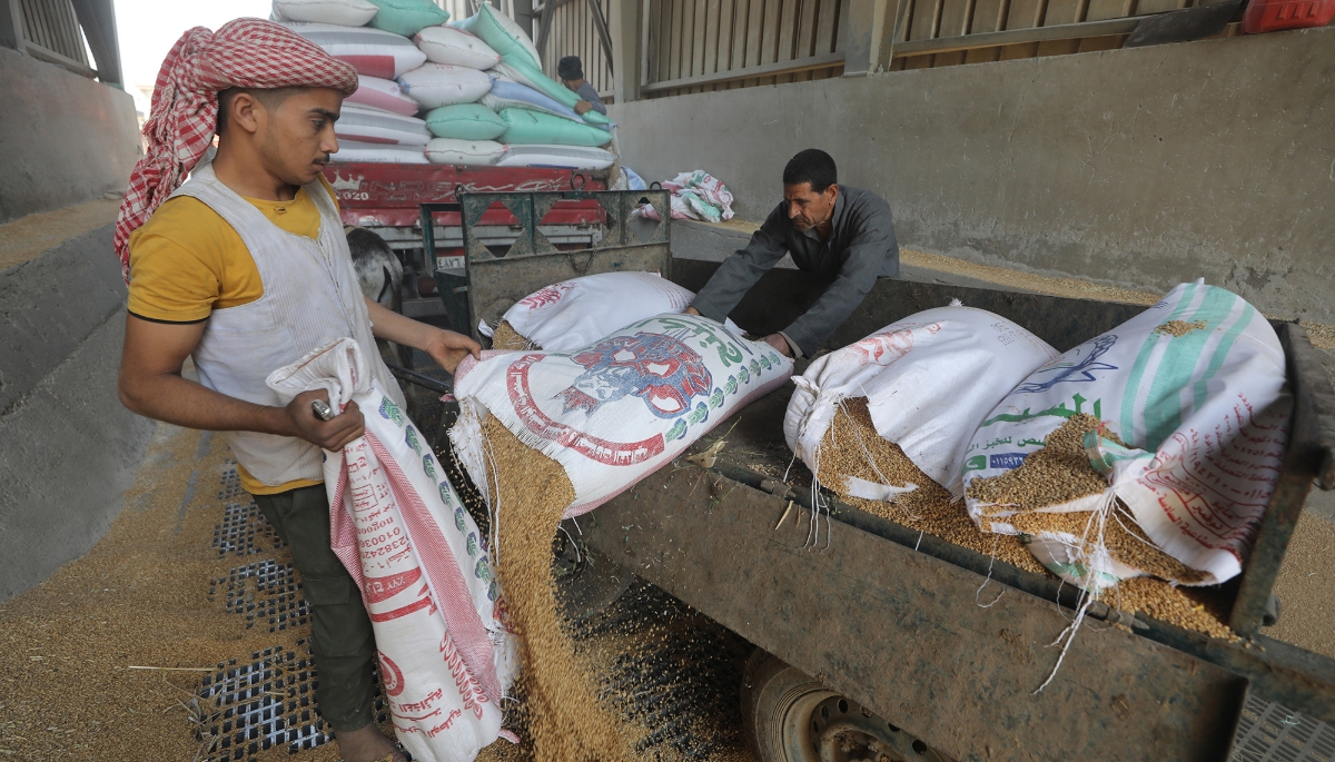 The Banha grain silos, in Qalyubia Governorate, May 2024.