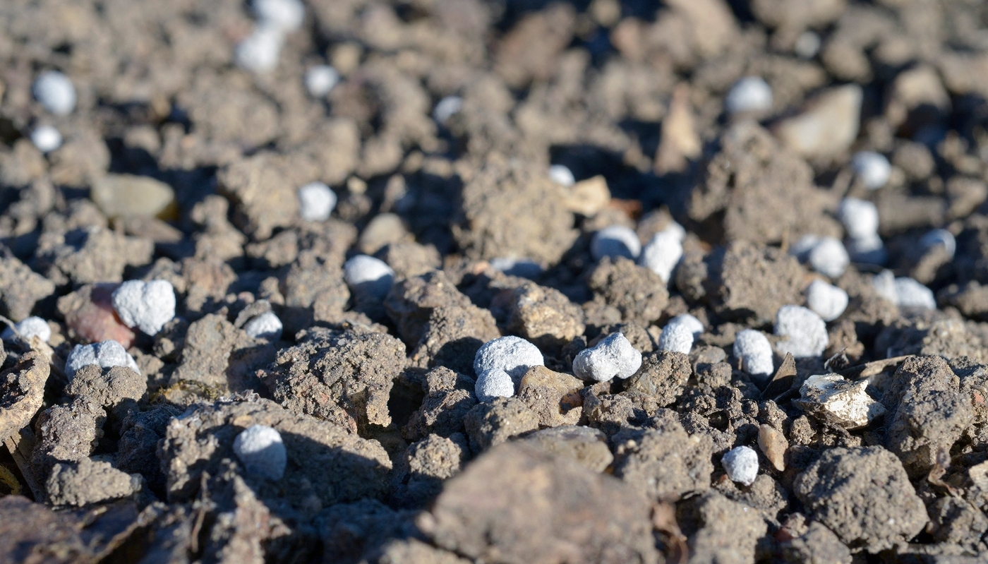 Cadmium-laden fertiliser in a field near Poitiers, France, April 2026.