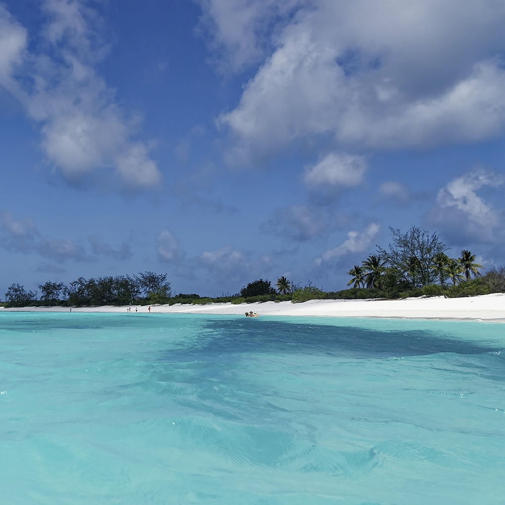 Assomption Island in the Seychelles, 2023.