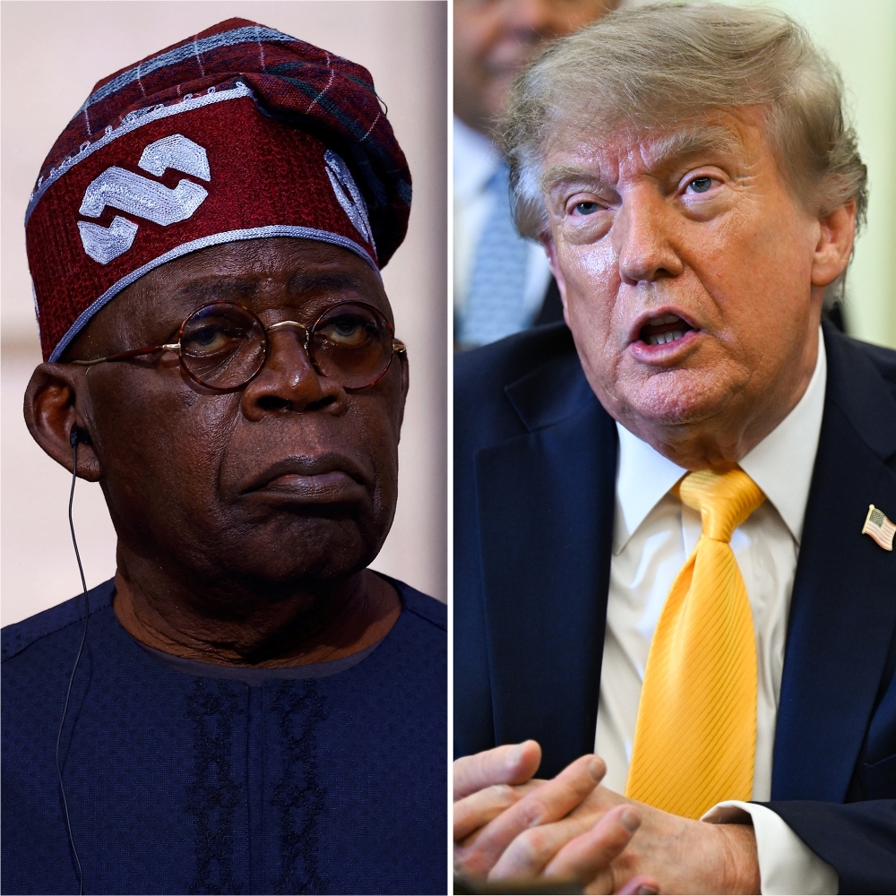 Nigerian President Bola Tinubu and his US counterpart Donald Trump.