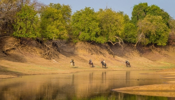 Rangers patrol to oversee rhinoceros safety in Chad's Zakouma National Park.