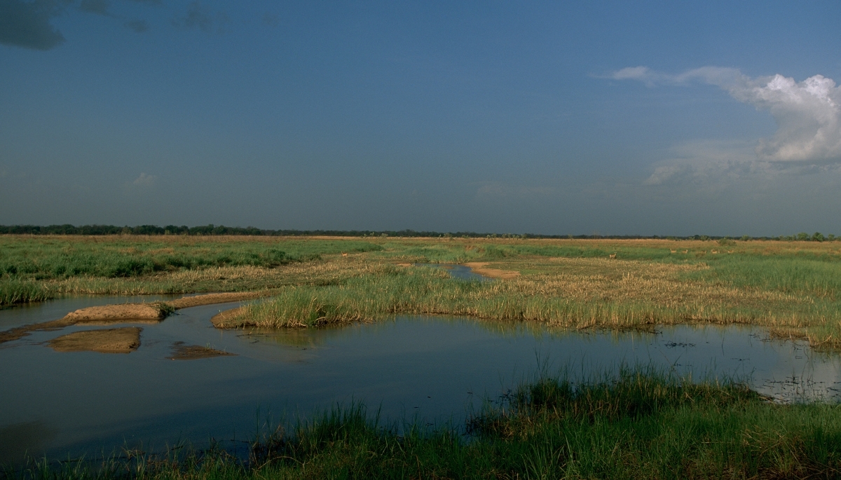 View of the Manovo-Gounda Park in the Central African Republic.