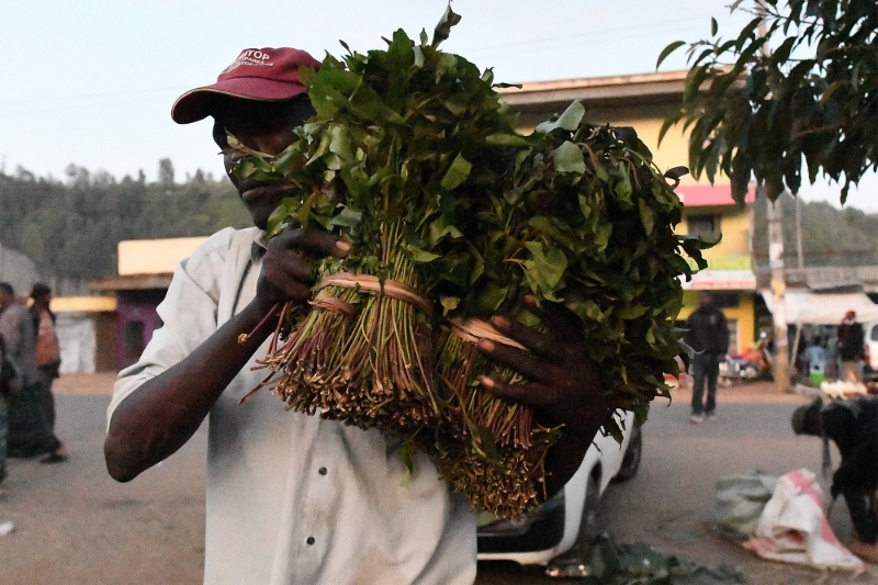 A khat seller in a market in Maua, Kenya.