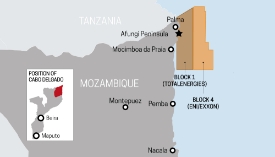 Cabo Delgado: a gas Eldorado and security nightmare