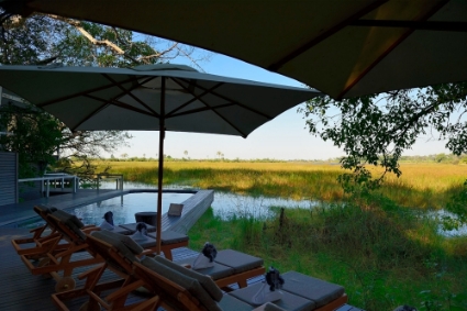 Abu Camp and its prestigious lodges were managed and marketed by Botswana's leading luxury safari company, Wilderness Safaris.