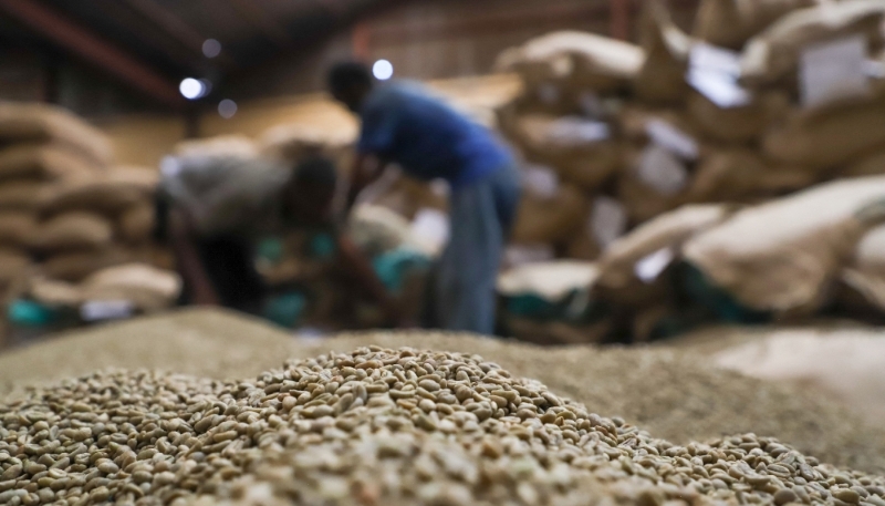 Workers carry coffee beans in a warehouse at Mullege Public Limited Company, in Addis Ababa, Ethiopia, July 1, 2023. 