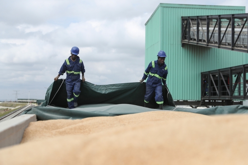 Workers uncover the canvas covering the grain transported on Grain Bulk Handlers' shipping line, Kenya, on 18 May 2022.