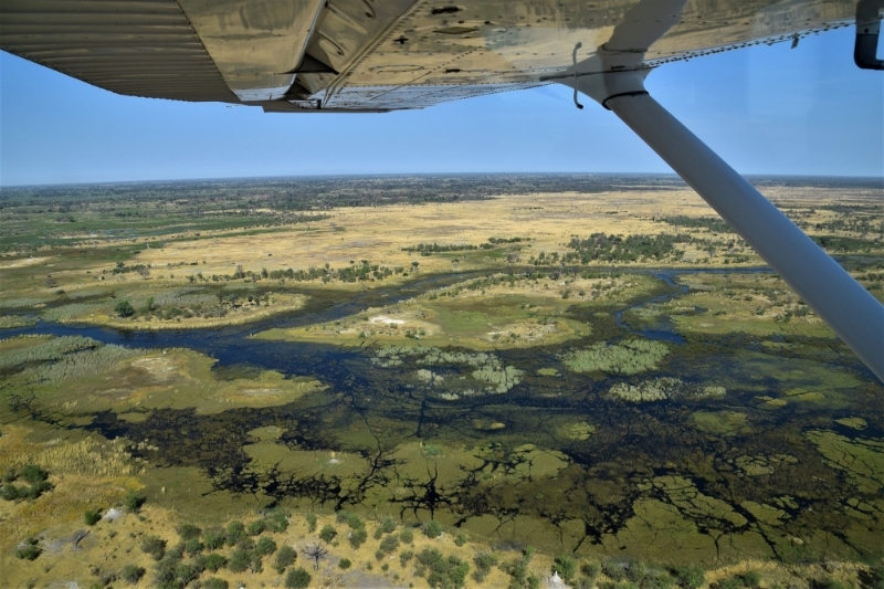 The Okavango delta in northern Botswana, the future home of the Maun Science Park.