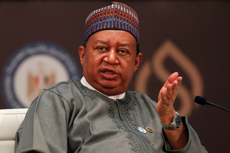 OPEC Secretary General Mohammad Barkindo attends a session during Egypt's 5th Petroleum Show