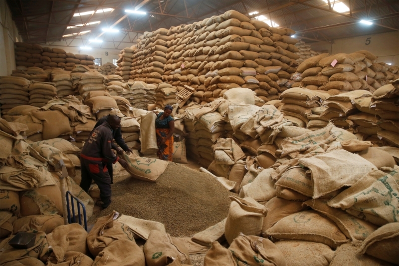 Employees process coffee at the Central Kenya Coffee Mill near Nyeri, Kenya.