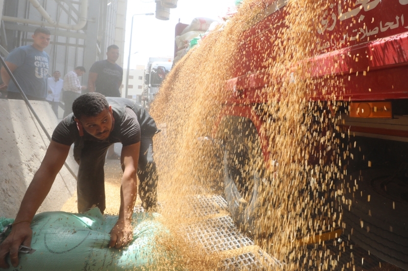 Workers unload wheat at the Banha grain silos, in Qalyubia Governorate, Egypt, the 25th May 2022.