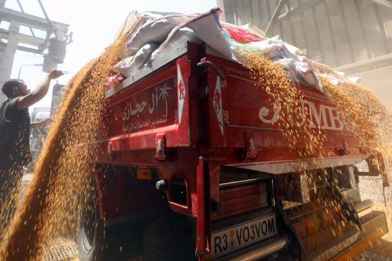 Workers unload wheat at the Banha grain silos, in Qalyubia Governorate, Egypt, 25 May 2022.