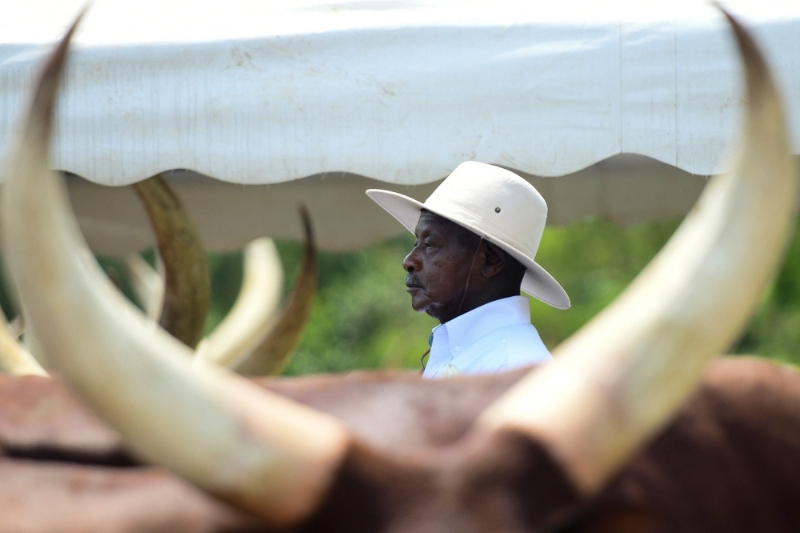 Uganda's president Yoweri Museveni at his farm in Kisozi settlement of Gomba district, in the Central Region of Uganda, on 16 January 2022.