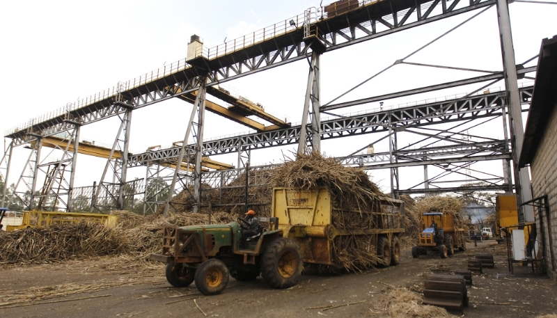 A tractor transports sugarcane into the state-owned Mumias Sugar refinery.