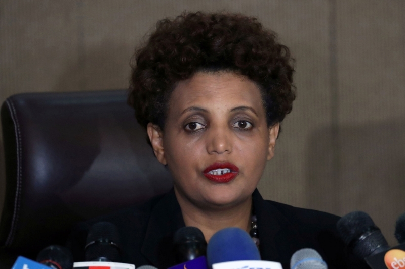 Birtukan Mideksa, the chair of the National Electoral Board of Ethiopia, is in charge of organising the country's general election on 5 June.