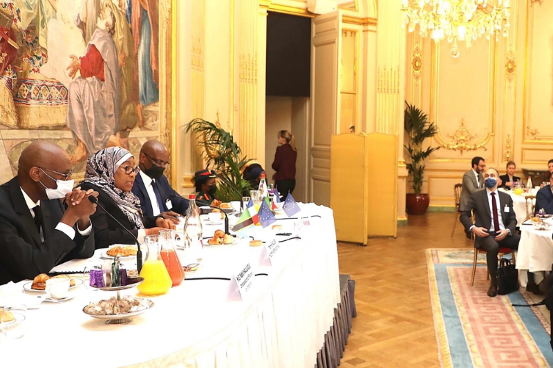 Tanzanian president Samia Suluhu Hassan addressing MEDEF representatives on 14 February 2022.