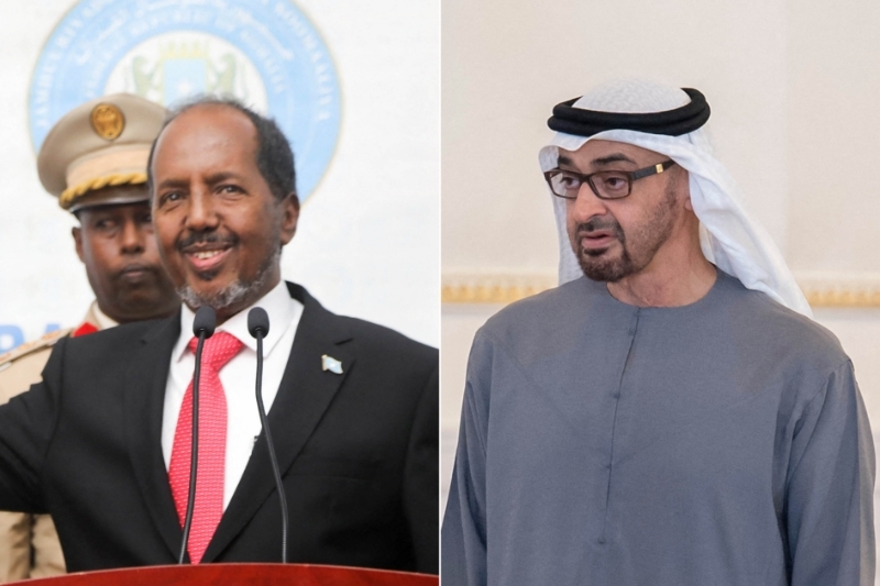 The new Somali president Hassan Sheikh Mahmoud and his Emirati counterpart Mohammed bin Zayed al-Nahyan.