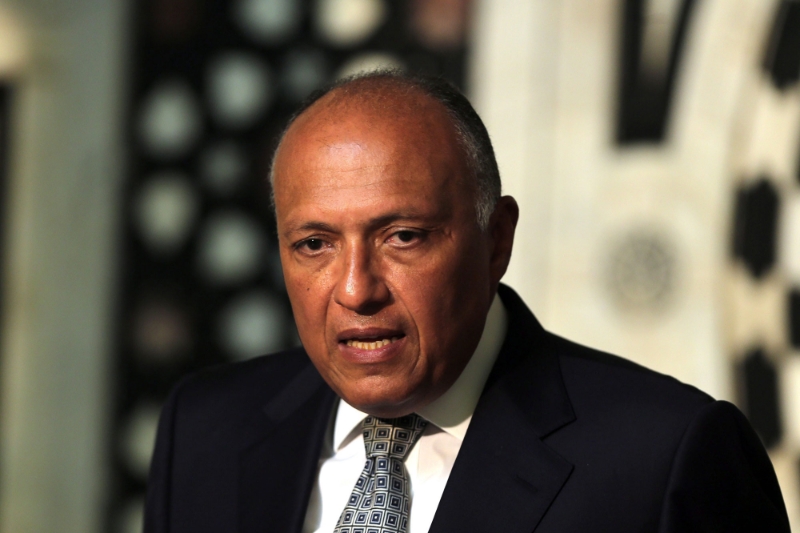 Egyptian Foreign Minister Sameh Shoukry.