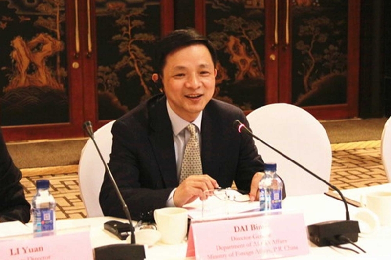 Dai Bing, the Africa director of the Chinese Ministry of Foreign Affairs in Beijing.