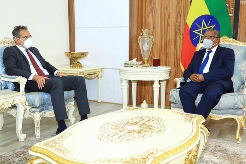 EU Ambassador to Addis Ababa Johan Borgstam and Ethiopian Minister for Foreign Affairs Gedu Andargachew.